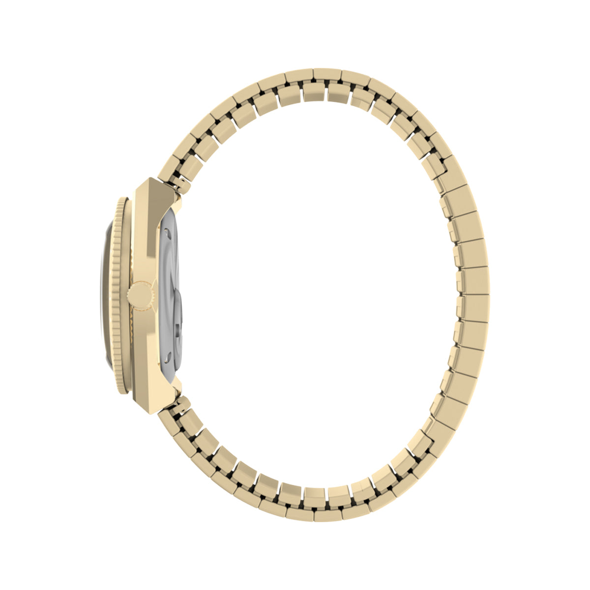 TIMEX WATCHES Mod. TW2Y57500
