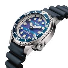 CITIZEN Promaster Diver's Structural Dial - Uomo Limited Edition